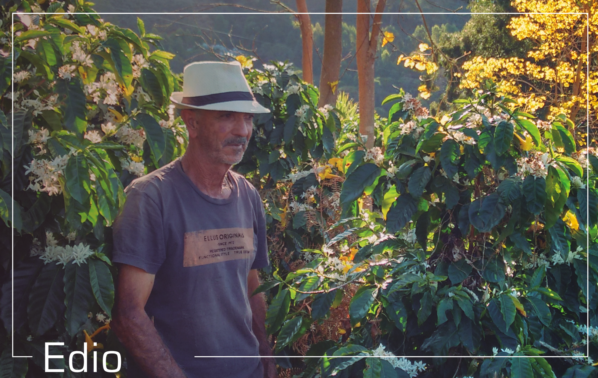 Meet Edio Miranda, one of our coffee growers based in the mountains of Araponga, Brazil.